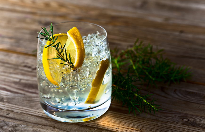 Classic Gin and Tonic